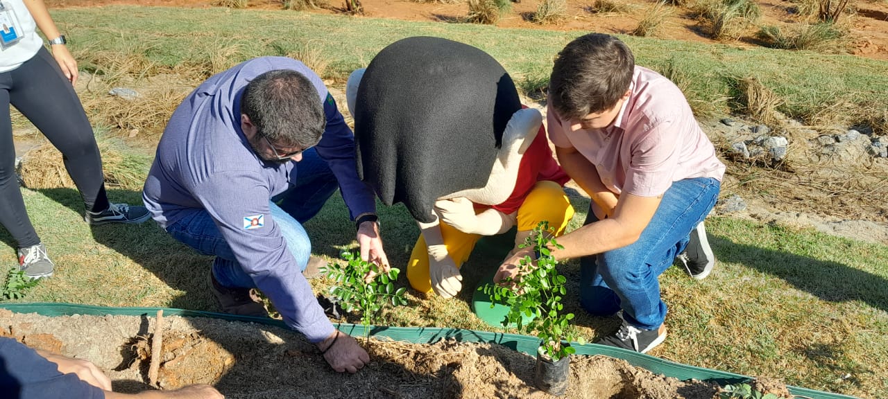 Plantio com a comunidade marca fim da primeira etapa do projeto de Naturalização da Lagoa Rodrigo de Freitas - Prefeitura da Cidade do Rio de Janeiro