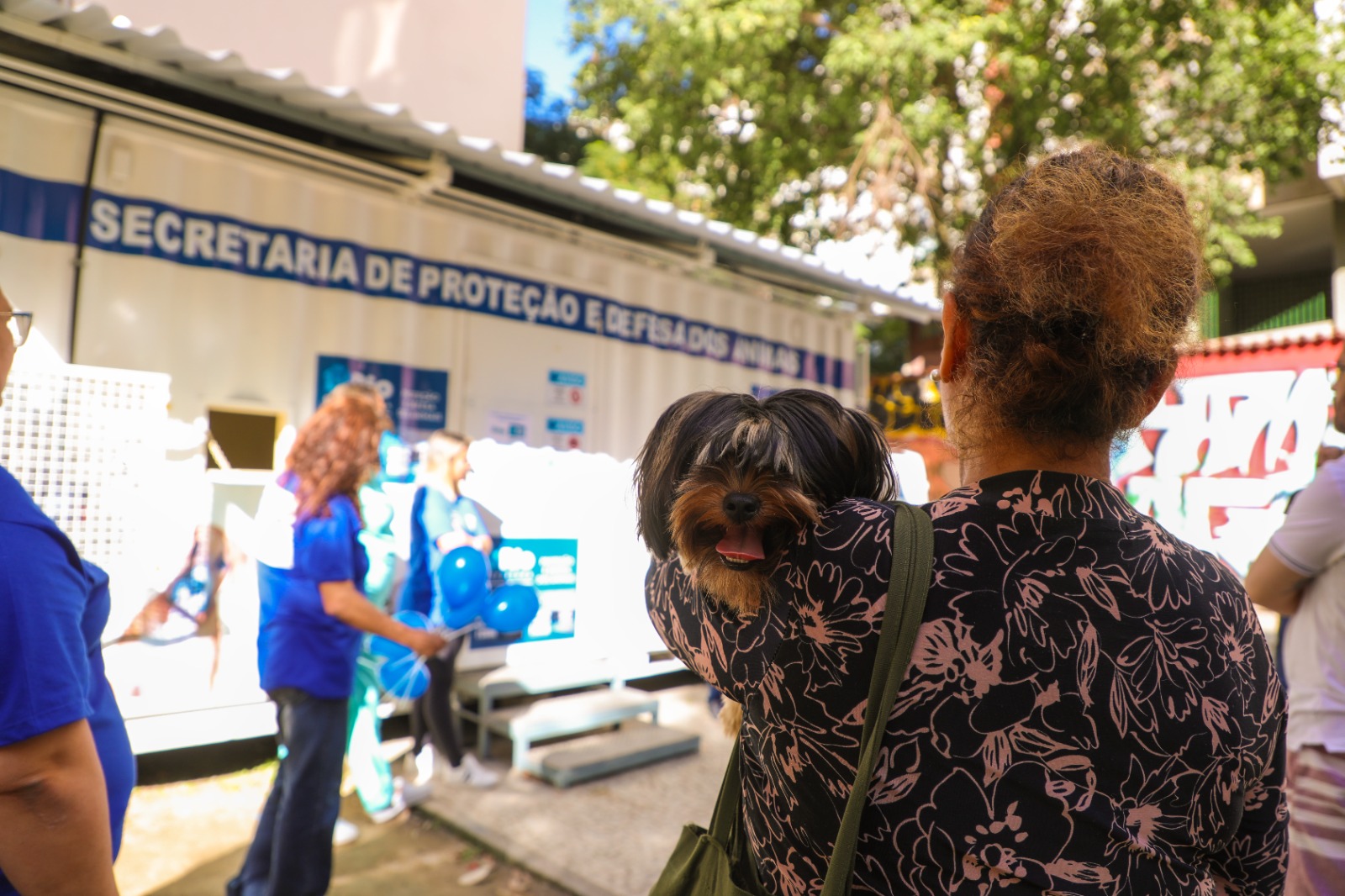 Secretaria de Proteção e Defesa dos Animais divulga horários dos postos nesta segunda-feira - Prefeitura da Cidade do Rio de Janeiro