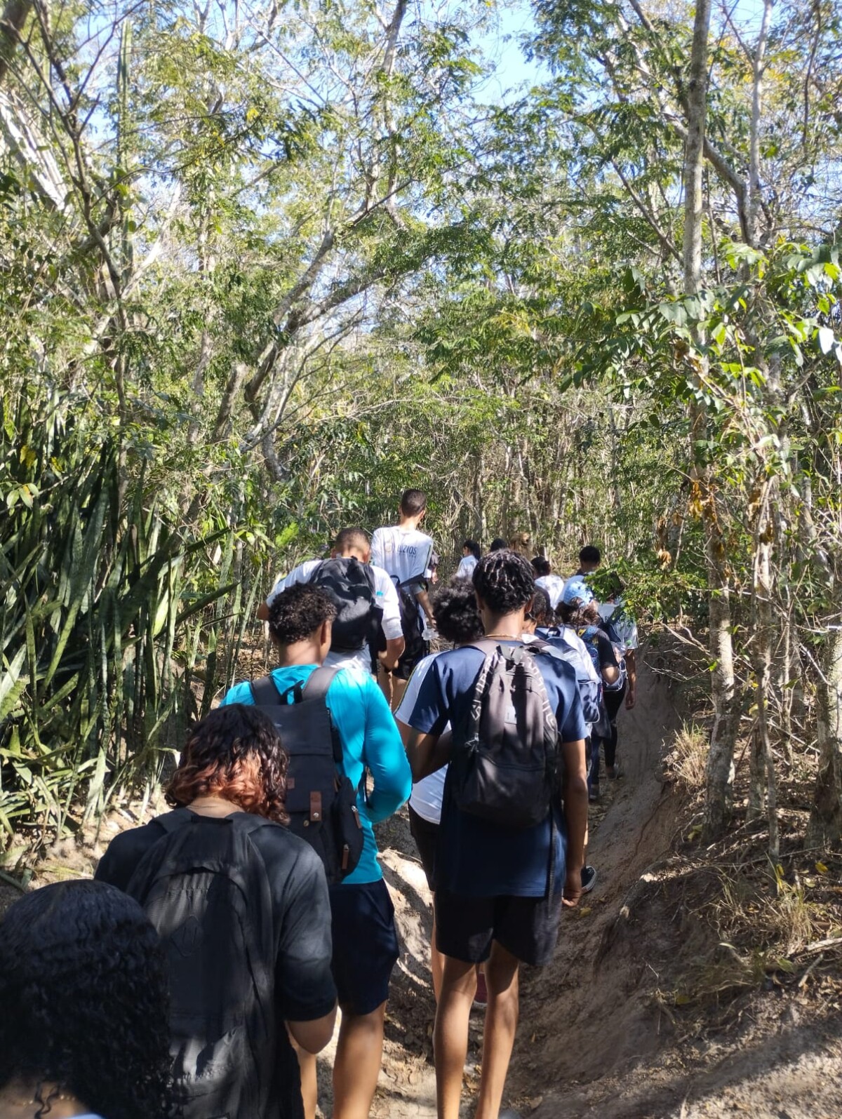 Educação de Búzios realiza aula de campo com trilha ambiental