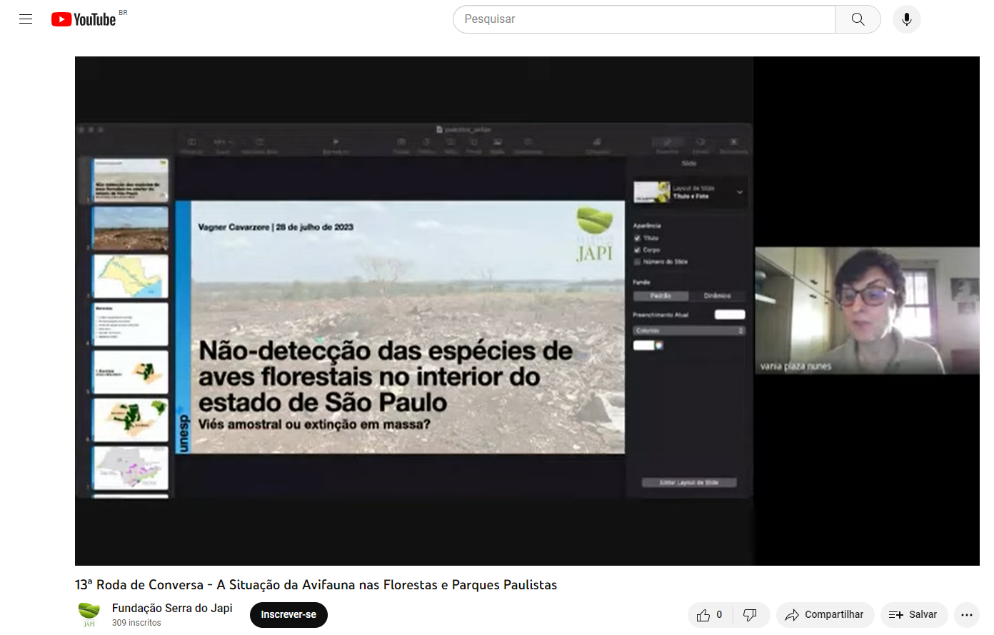 Fundação Serra do Japi promove encontro virtual sobre a avifauna nas florestas paulistas