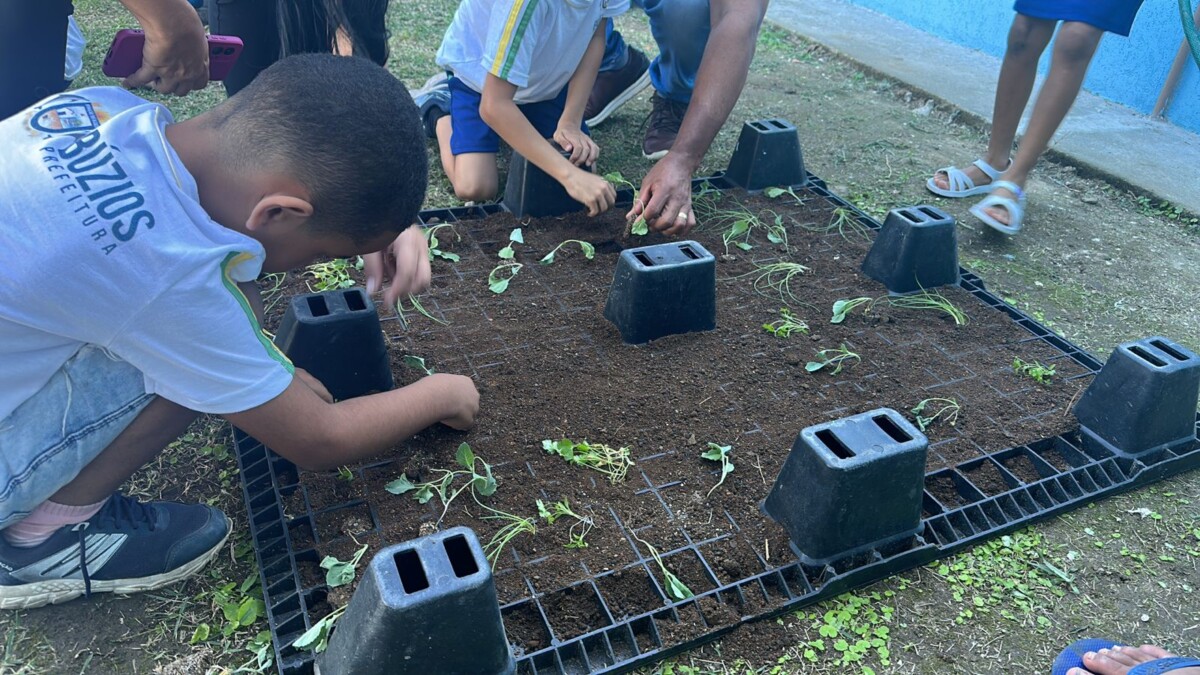 Projeto “Horta nas Escolas” em Búzios encanta crianças e promove conscientização ambiental