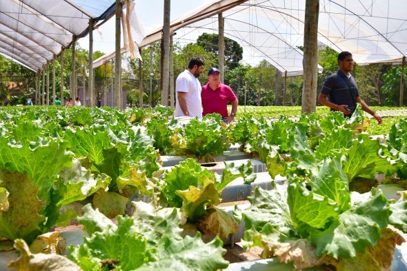 Prefeitura de Cuiab | Propriedades do programa Agro da Gente recebem visita dos tcnicos do programa BID Pantanal