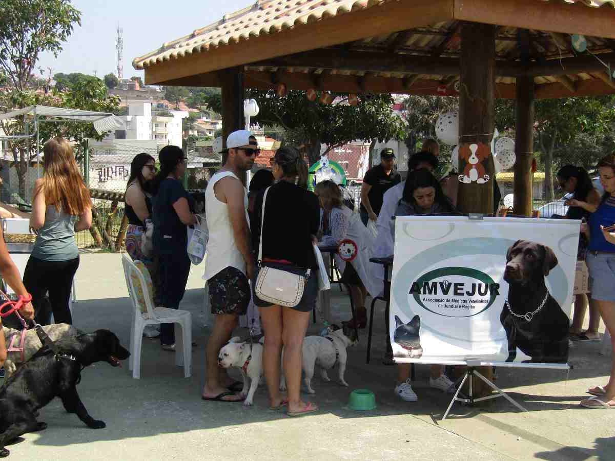 Semana Pet tem início dia 2 com palestra “Patas pela inclusão”