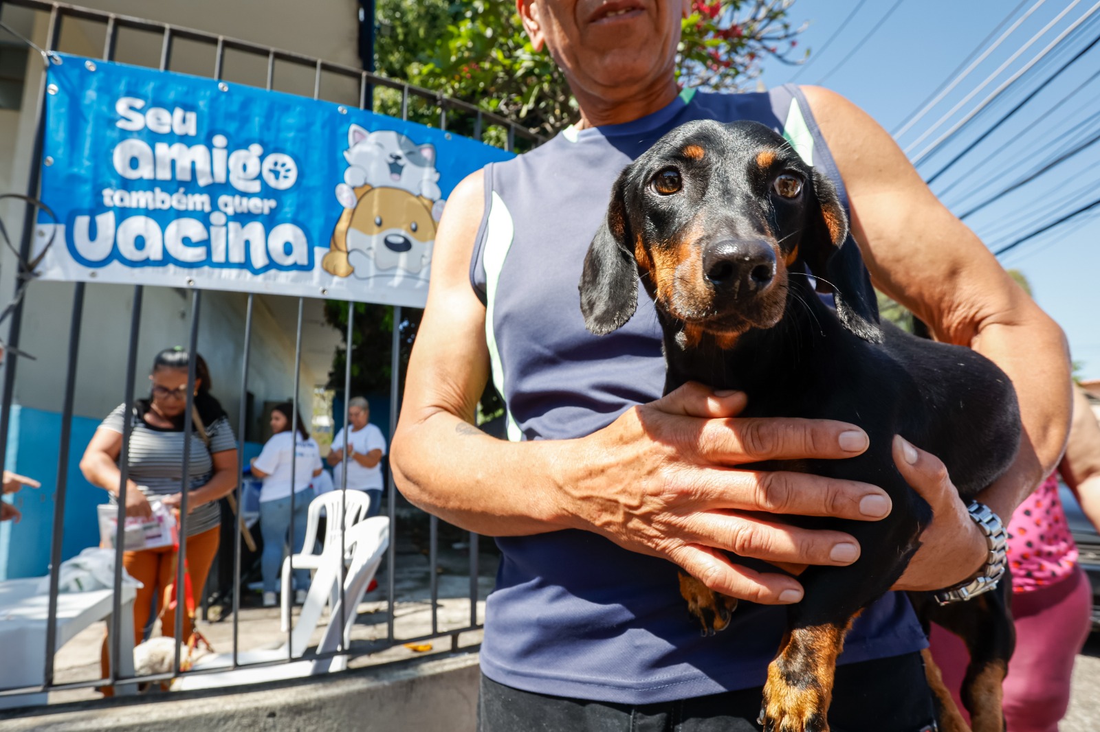 Zonas Norte e Oeste recebem a próxima campanha de vacinação antirrábica - Prefeitura da Cidade do Rio de Janeiro