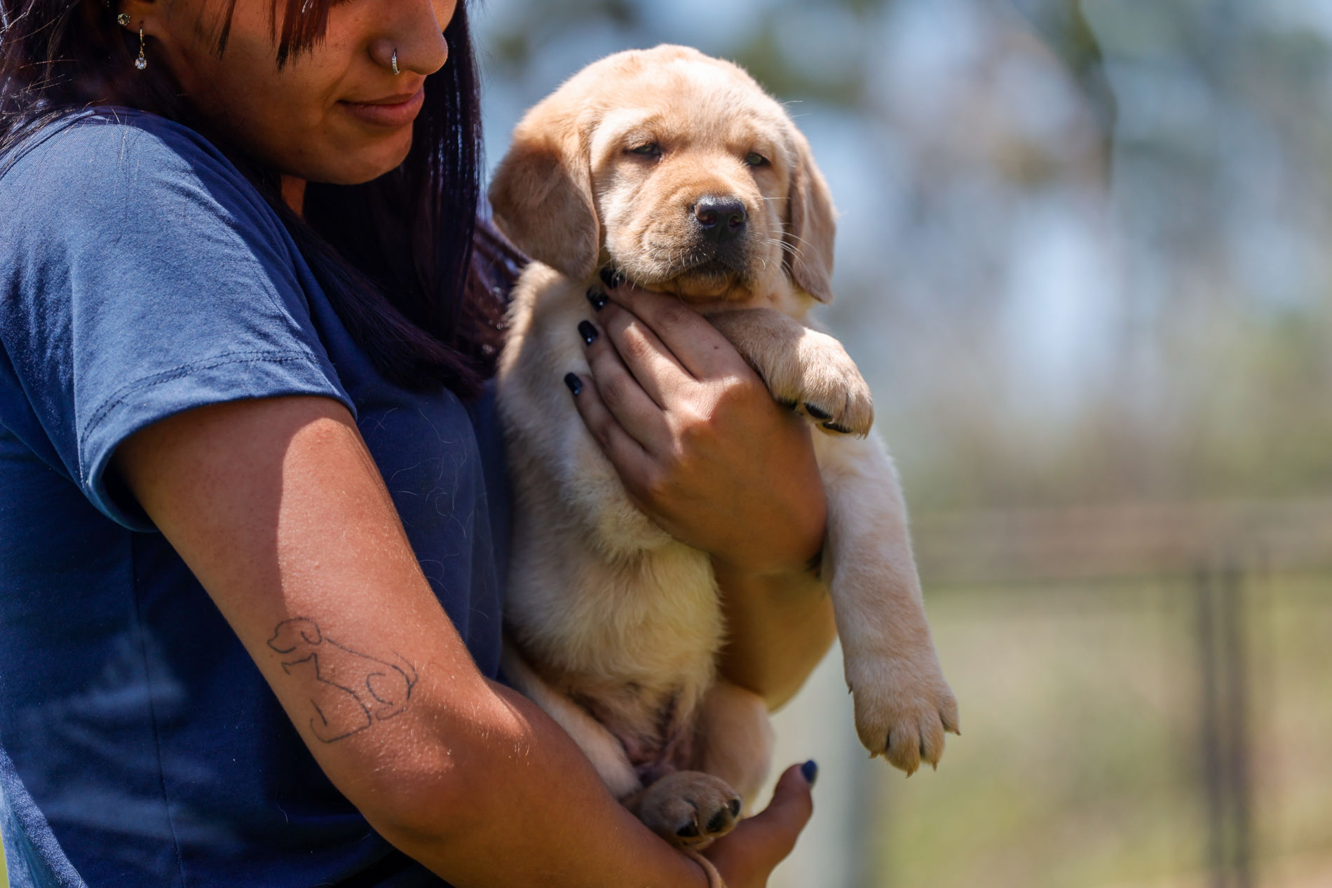 Comitiva de Jundiaí conhece instalações para formação de cães-guias da Adimax