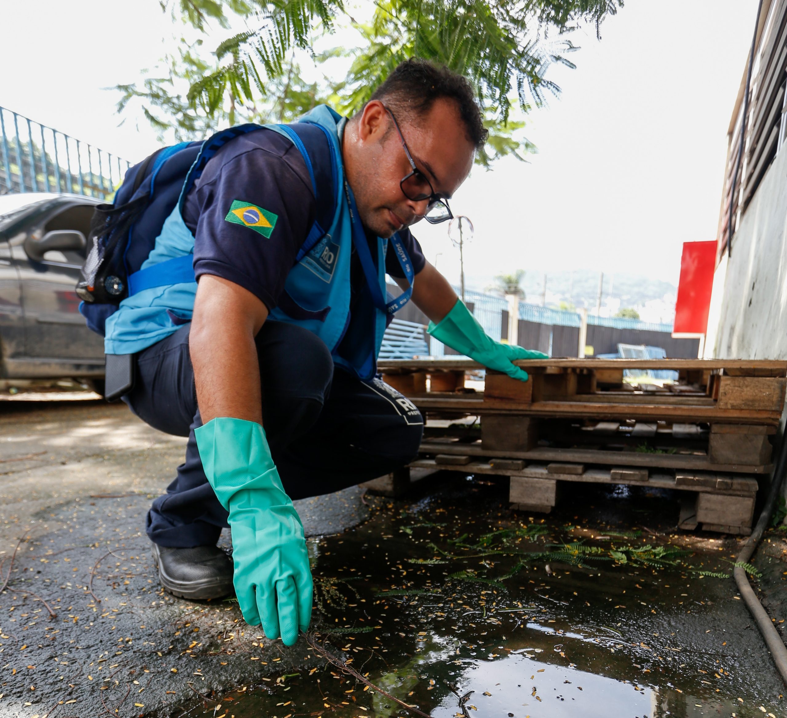 LIRAa: índice de infestação de mosquito da dengue na cidade do Rio é de 0,66% - Prefeitura da Cidade do Rio de Janeiro
