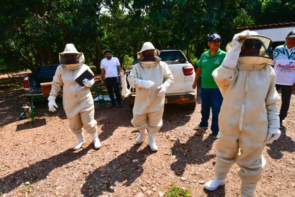 Prefeitura de Cuiab | Cuiab busca investimentos de R$ 70 milhes do BID Pantanal para fortalecer a agricultura familiar na regio