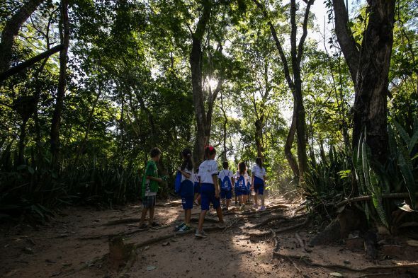 Prefeitura de Cuiab | Horto Florestal: Um espao natural de aprendizado e refgio para crianas e comunidade