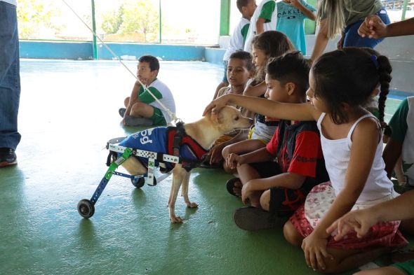 Prefeitura de Cuiab | Prefeitura de Cuiab lana projeto em favor da causa animal com foco no pblico infantil