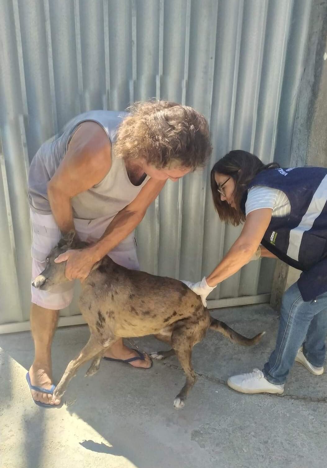 Vacinação antirrábica em Búzios este fim de semana: saúde e proteção para cães e gatos